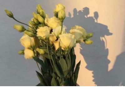 有创意的初中班级口号