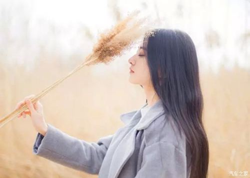 唯美励志的句子