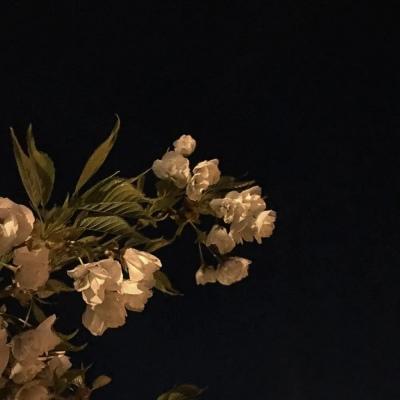 失望心冷的网名