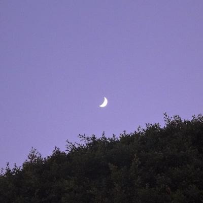 意境网名