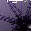 摩天轮转变的爱8