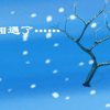 爱相遇7