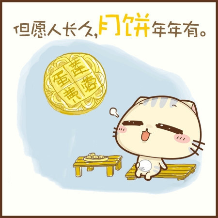 小猫图文系列10