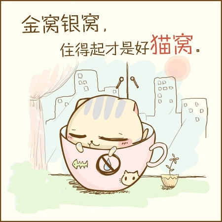 小猫图文系列11