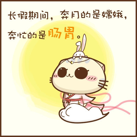 小猫图文系列13
