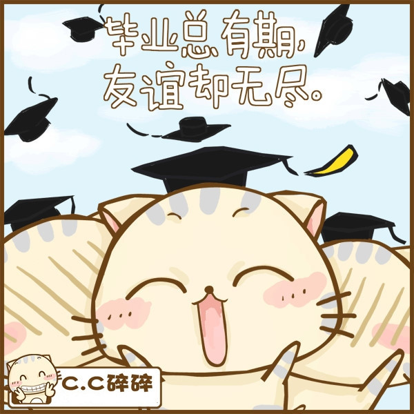 小猫图文系列14