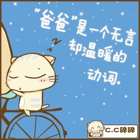 小猫图文系列15
