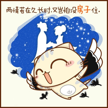 小猫图文系列16
