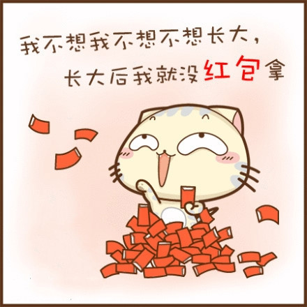 小猫图文系列17