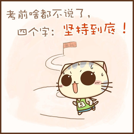 小猫图文系列2