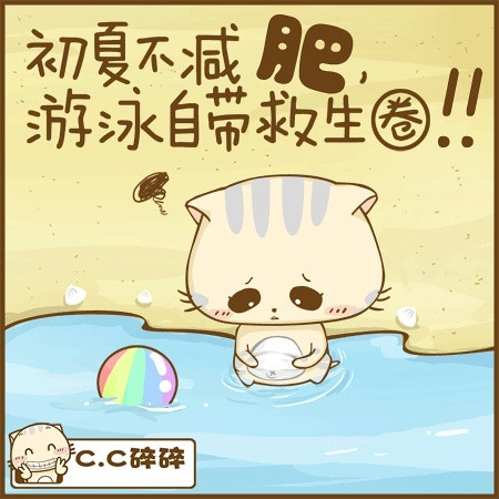 小猫图文系列5