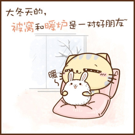 小猫图文系列6