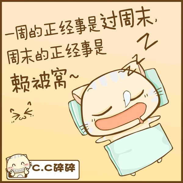 小猫图文系列8