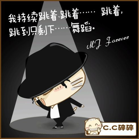 小猫图文系列9
