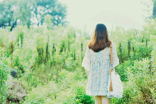 倦鸟余花